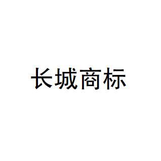 长城汽车申请SPACEGPT商标 大胆迈向车载AI助手领域-多多发布网(图3)